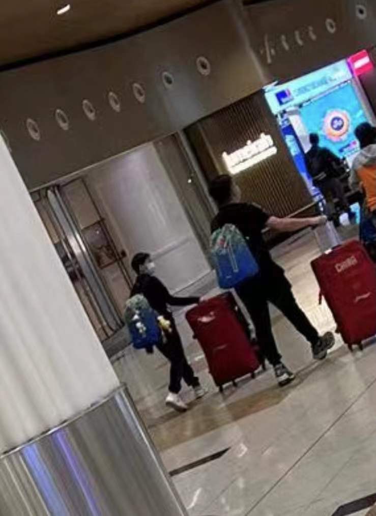 行李箱|27个小时旅途！全红婵凌晨抵达阿联酋酒店，推大行李箱，排队入住