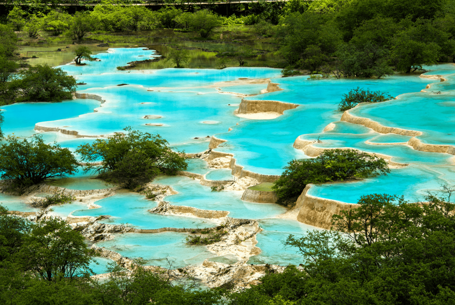 九寨沟_景区_大熊猫
