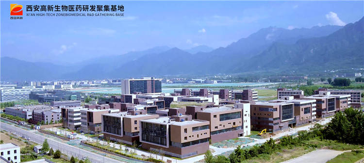 厚培|厚培创新沃土催生创新活力 西安高新区医疗器械领域重大技术成果接连涌现
