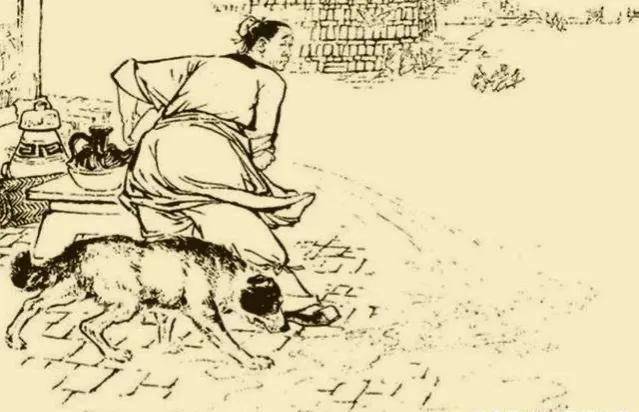 民间故事猎户怒杀自家黑狗晚上黑狗托梦多谢恩人救命之恩