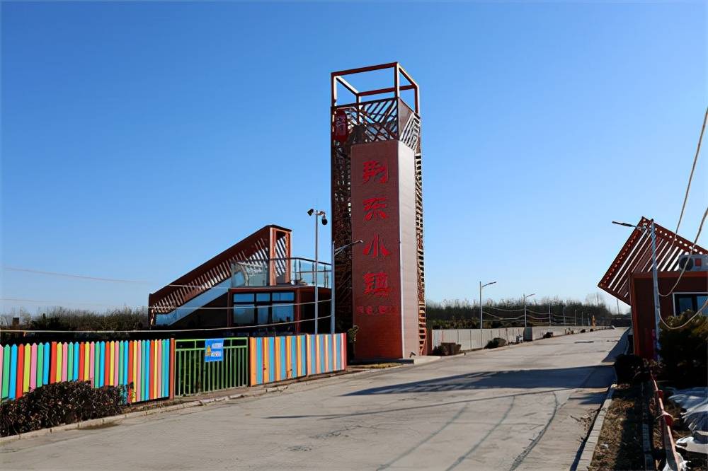 中国公益记录者在线走进河北固安荆东小镇参观考察_乡村_农业_固安县