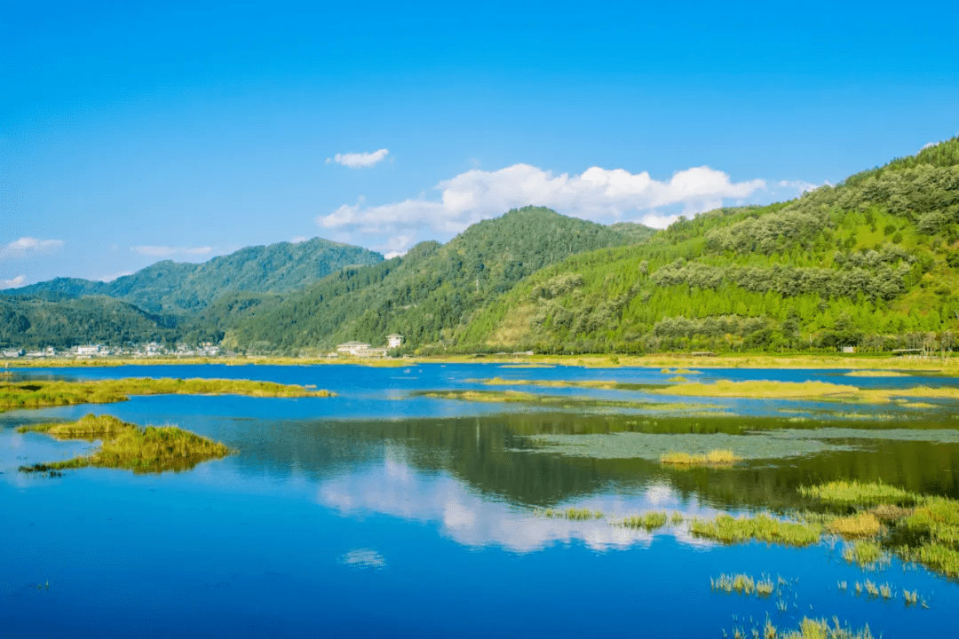 田园|栖居在腾冲过诗意生活