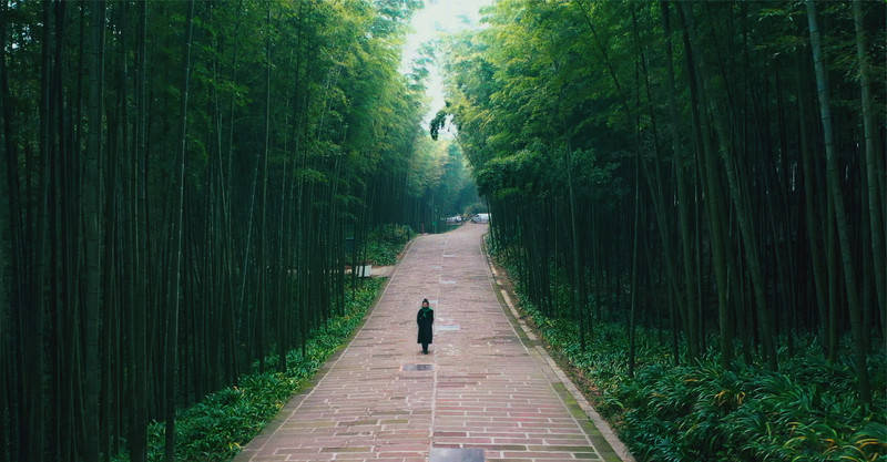 三桥|冬日养生度假好去处，蜀南竹海旅游全攻略