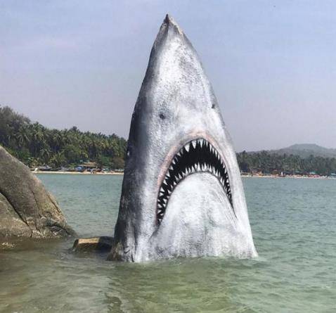 印海滩有一块奇特的大白鲨巨石，露出尖牙利齿，成为网红打卡胜地