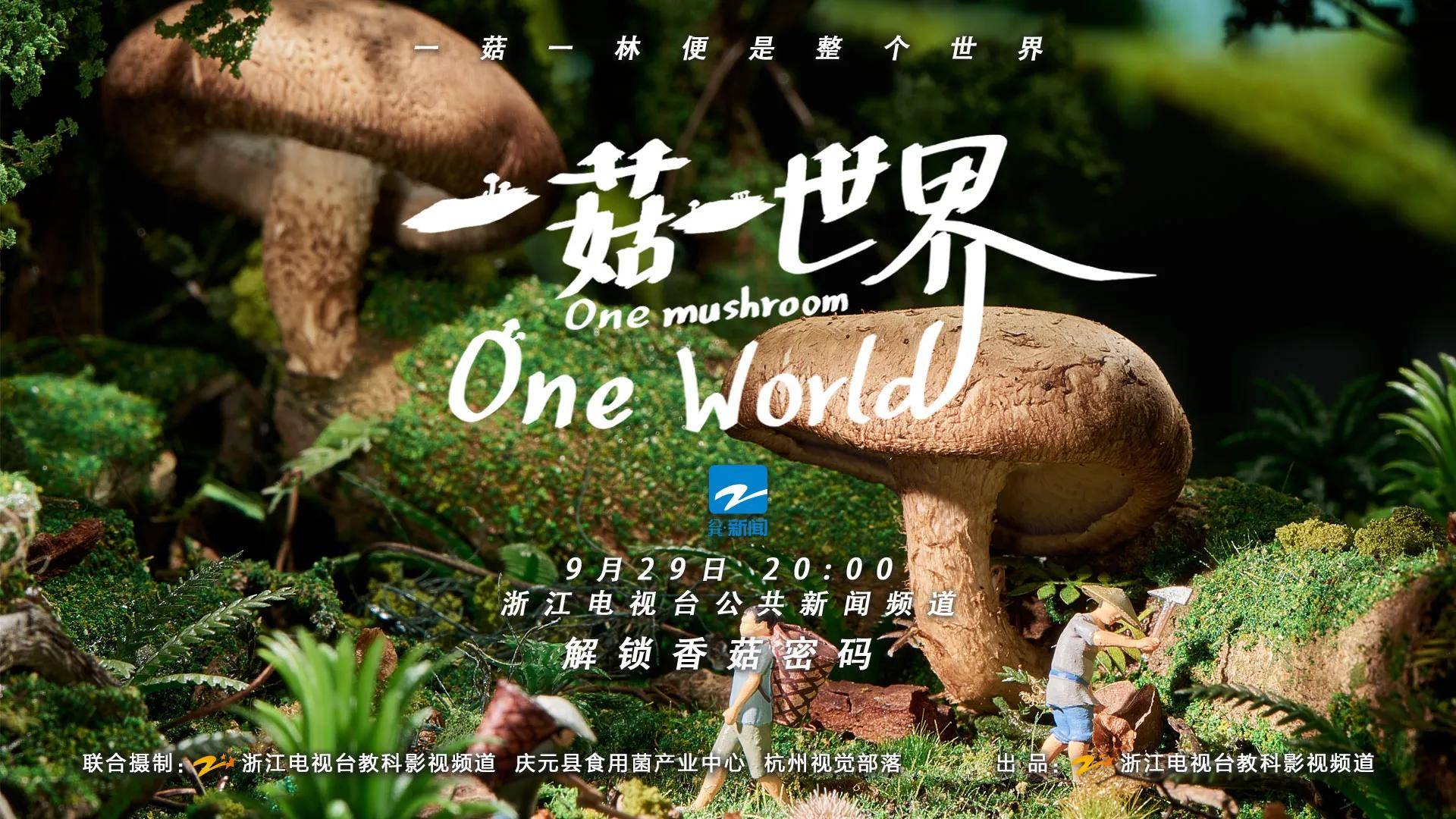 记录800年香菇传奇纪录片一菇一世界斩获两项大奖
