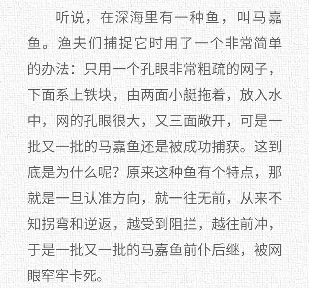 编辑,奥妍夕 奥妍夕：明智的放弃，胜过盲目的执着