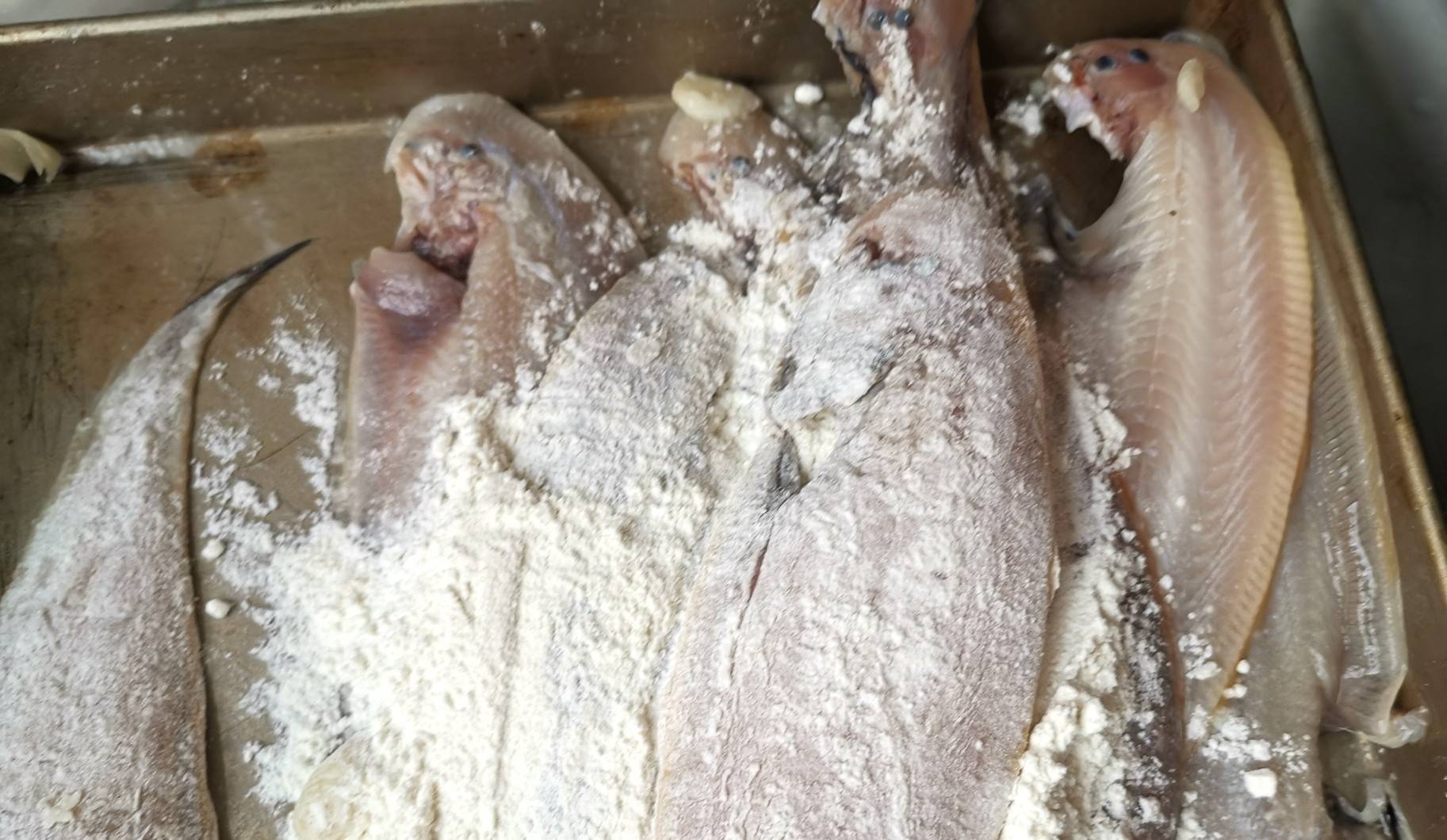 推荐鳎目鱼的家常做法,营养丰富,美味健康,喜欢的来