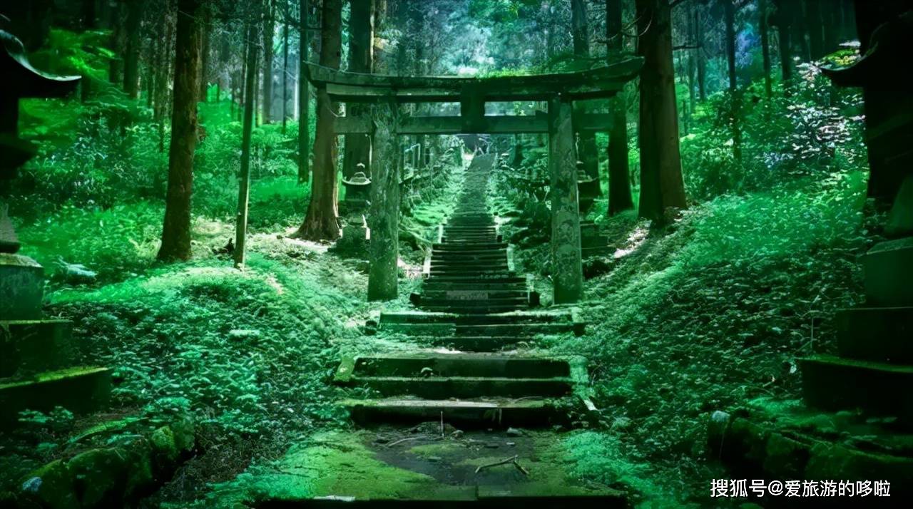 那些不用p图 风景如画的日本仙境 快来了解一下吧 萤火虫 地址 莫奈