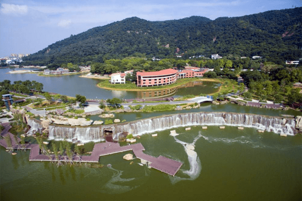 广东佛山迅速走红的景区，独特景观令人赞叹不已，免收门票