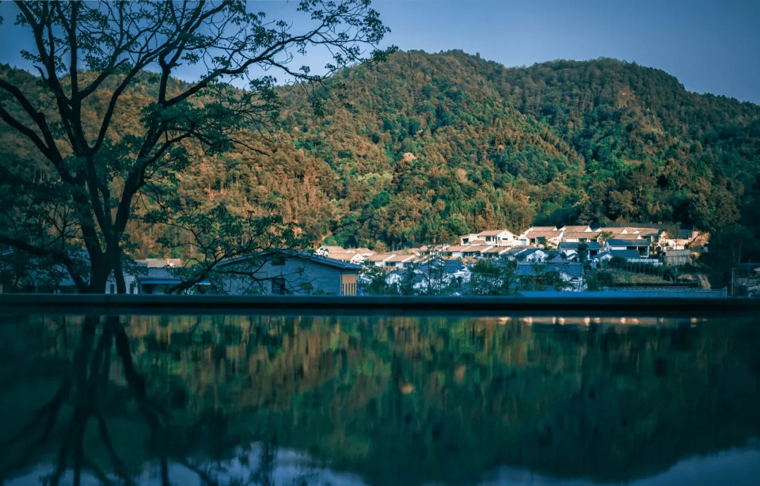 悦椿|住宿推荐丨探寻白色以外的五彩冬天，住悬崖峭壁下的半山酒店