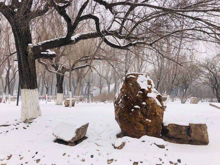 诗歌|诗歌：与你相遇（外三首）