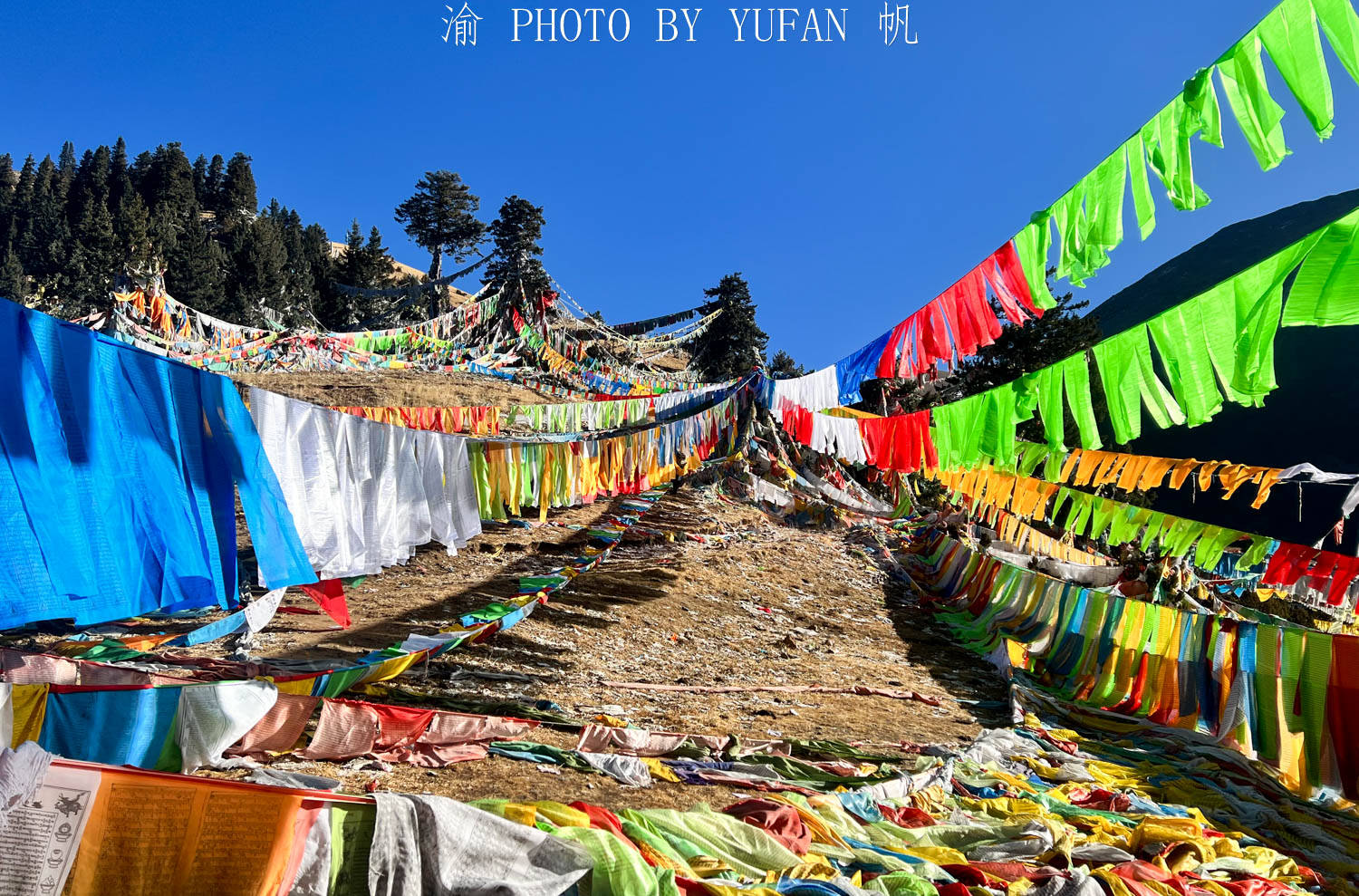 波罗|昌都自驾游第六天：走进经幡的海洋，感受木刻非遗，遇见昌都丁真