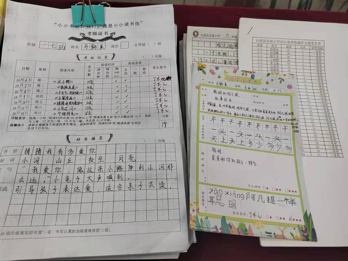 台前县|濮阳市示范性书香校园验收组专家到台前县实验小学检查指导工作