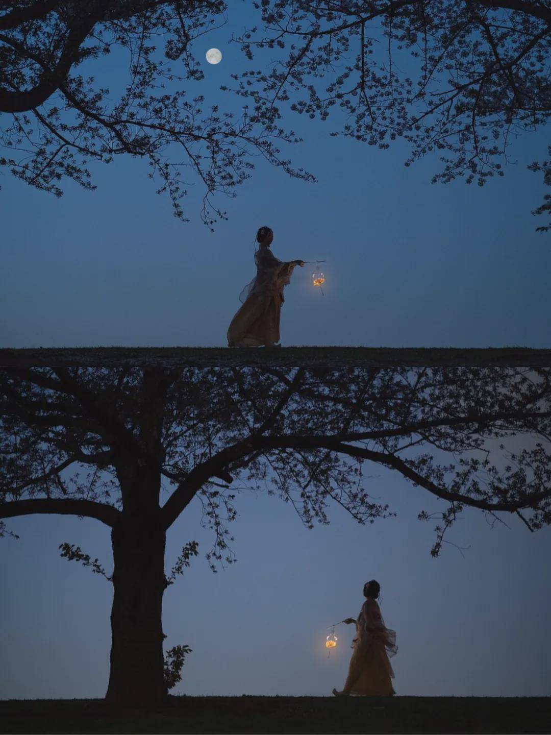 摄影汉服小仙女： 亦知终是有晴时