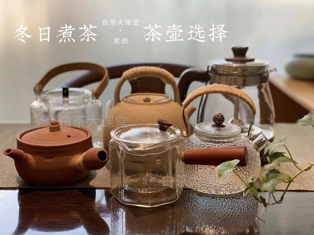 沸水|煮茶比泡茶好？简单一篇文章，带你体验煮白茶的乐趣