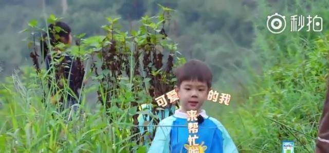 幼儿园|杜江的儿子嗯哼，4岁才上幼儿园，机灵又暖心，霍思燕是怎么教的