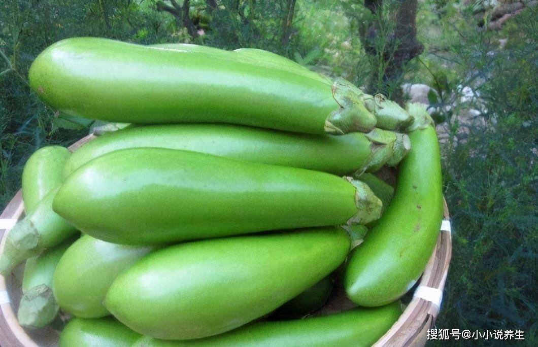 维生素_茄子_的作用