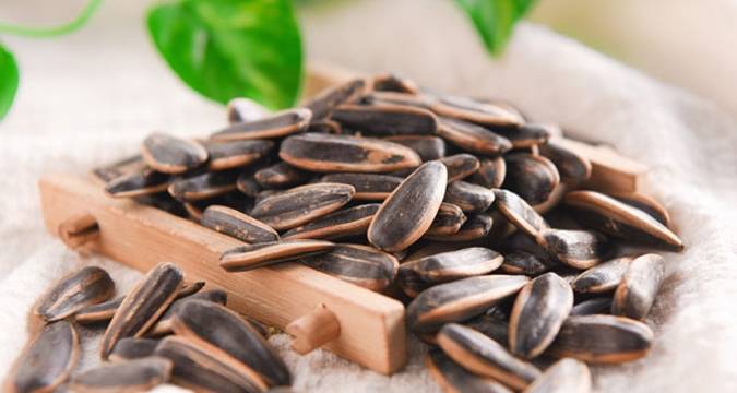 少盐|宅家追剧,除了嗑瓜子,这5种零食也值得囤,网友:都是我爱吃的