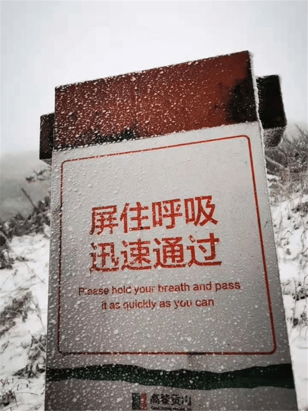 生活|赏高黎贡山雪，盼人间春色