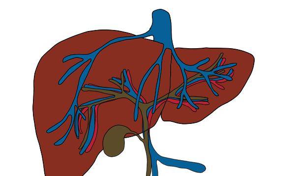 症状|肝病怕拖！肝在病变前，身体会出现不少异常迹象，能抓住一个就行