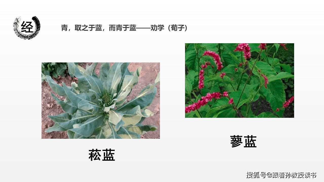 5 读"经":《荀子·劝学》(节选)_染色_蓼蓝_暗蓝色