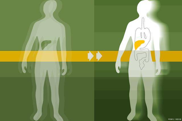 症状|肝纤维化可以逆转吗？早发现或有机会，这些早期症状可对照看看
