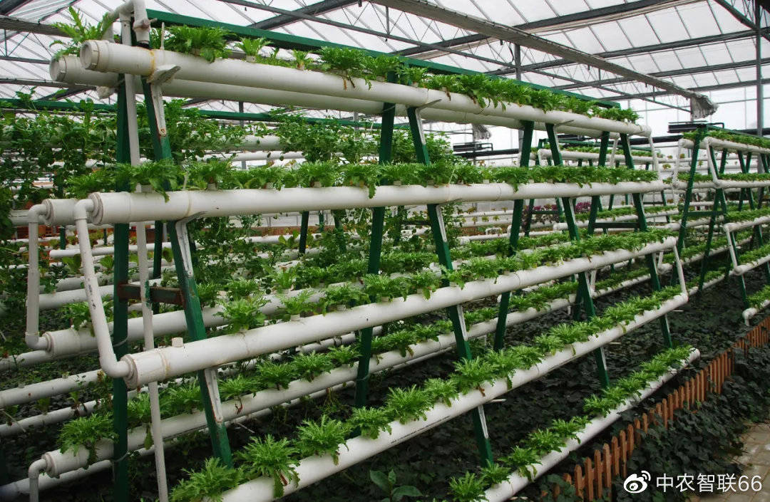 日本垂直农场,离智能更近一点_于京_farm_机械