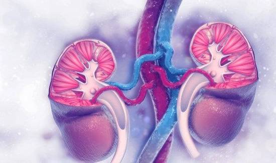 评价|肾穿刺结果很严重，尿毒症就一定来？错！赶紧打消这个念头