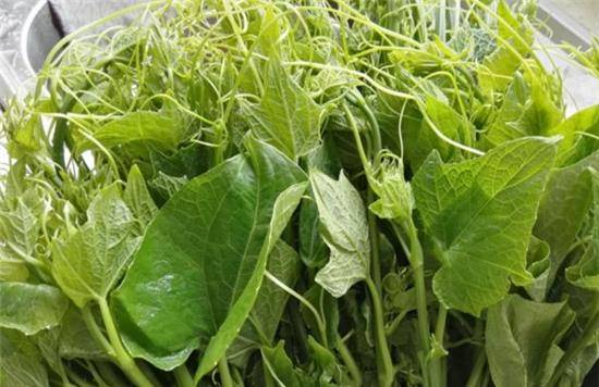 佛手瓜怎么吃能排毒 d111e53f7b6140b285219b1e1021ca54.jpeg