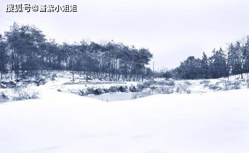 山上的雪越下越大歌名 deb730570f774689979c411fa5160457.jpeg