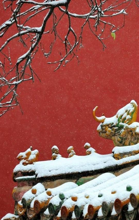 雪后的故宫、金陵、长安哪个更美？南方人给出了这个答案
