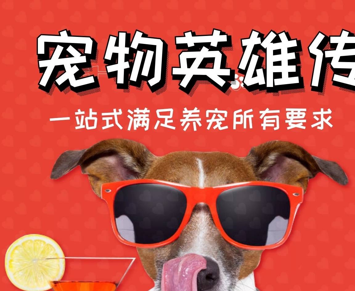 家长|狗狗挑食怎么办?这4个原因你发现了吗?一招解决狗狗挑食毛病