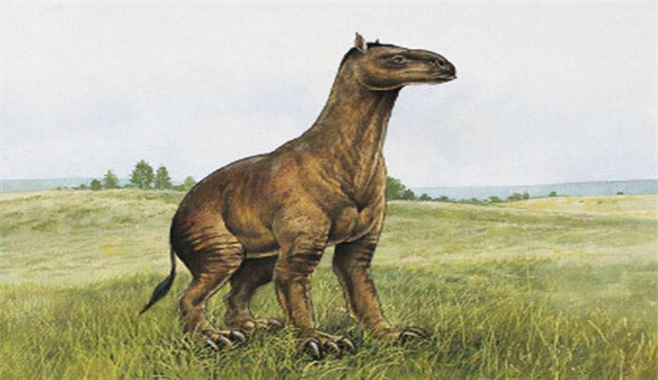 原创始祖马被印第安人吃光拖慢了文明进步印第安人白人的污蔑