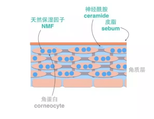 产品用护肤的时候皮肤刺痛，不一定是皮肤太缺水！