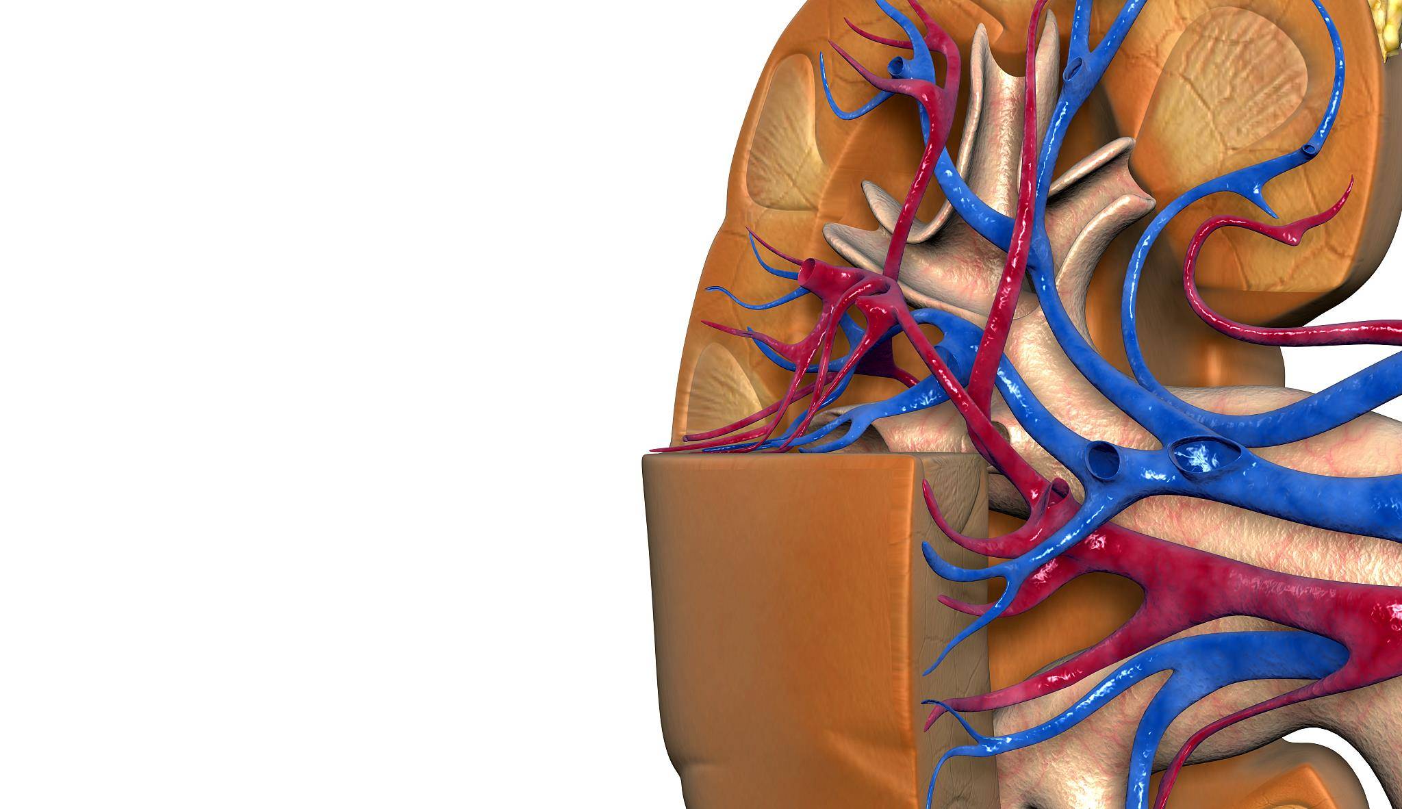 控制|高血压和尿毒症也有关系？有些细节问题，你可能真的没在意