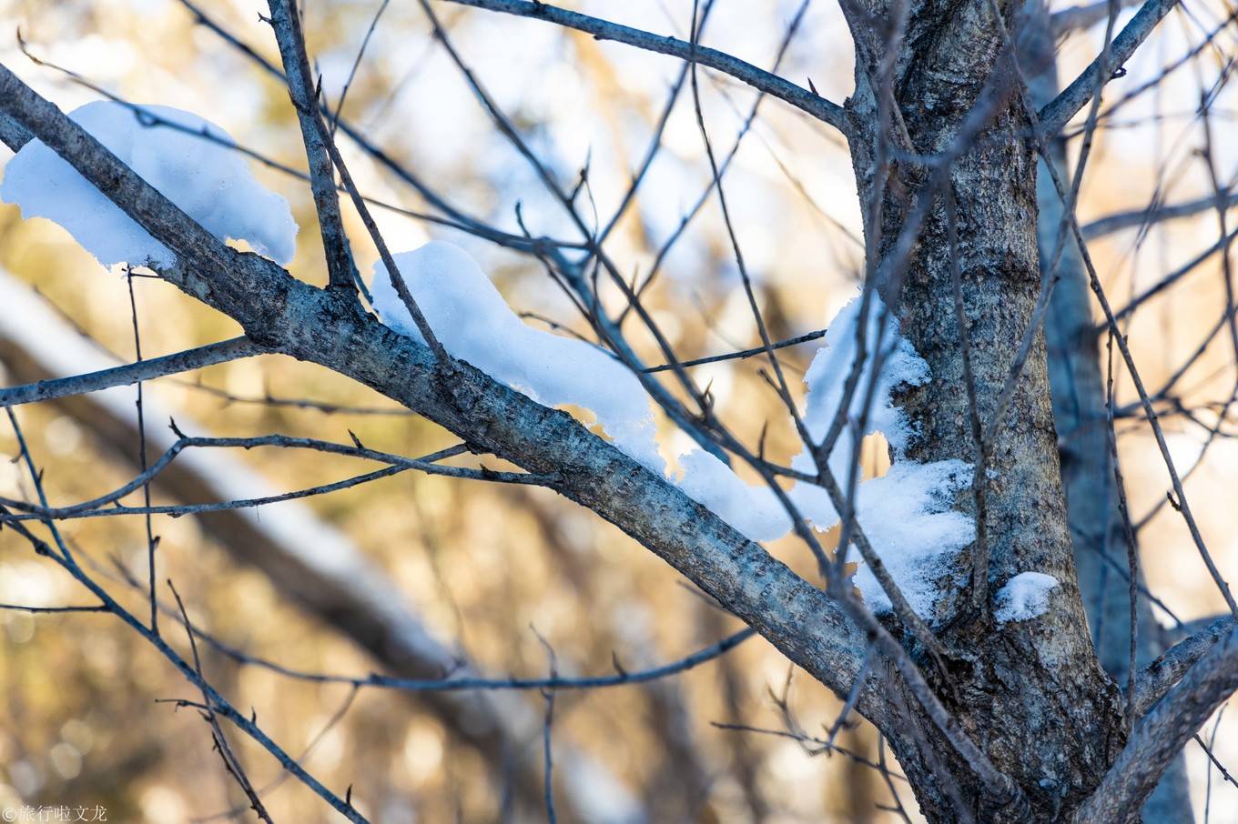 火炕|冬季在东北正确打开方式，长白山鲁能胜地滑雪UTV住火炕