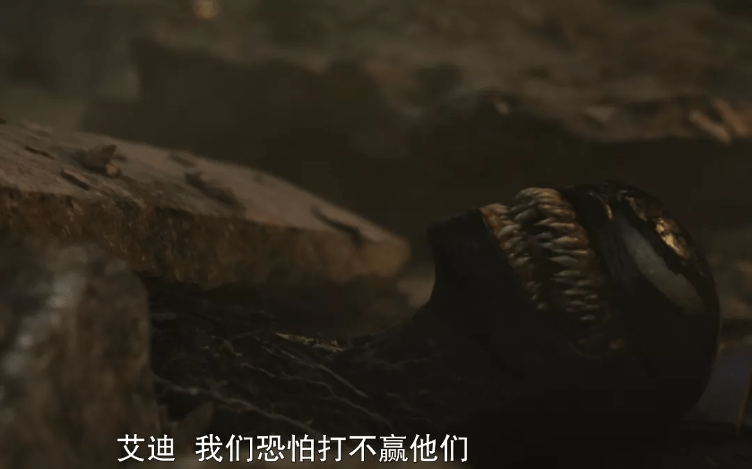 娱乐|恩佐注册登录