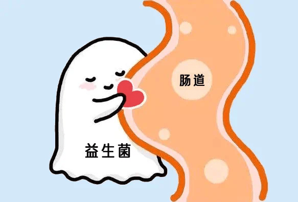 什么情况下使用益生菌?这些妙用你绝对不知道_肠道_调节_肠胃