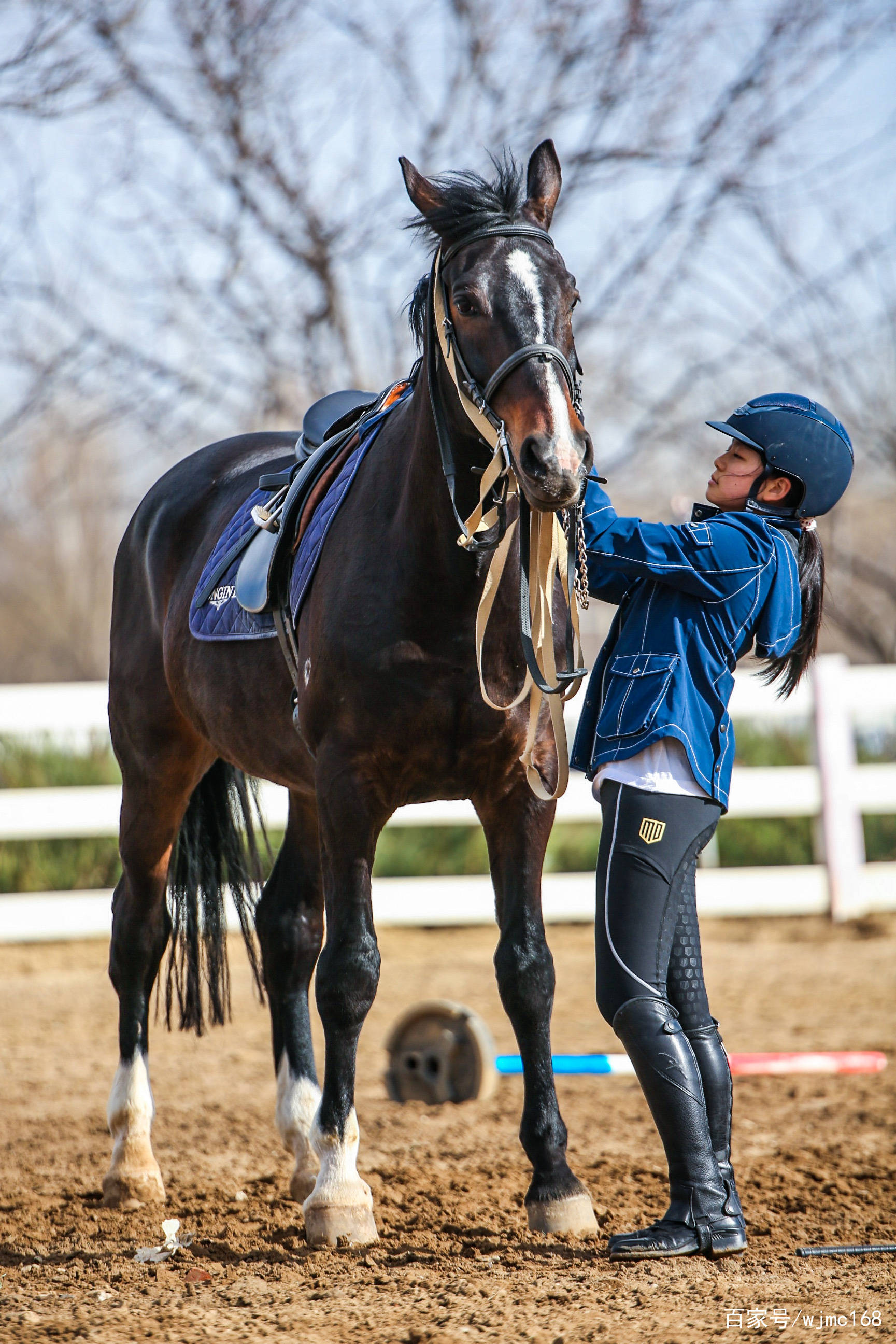 无疆牧场英式马术为成功的跳跃要准备什么