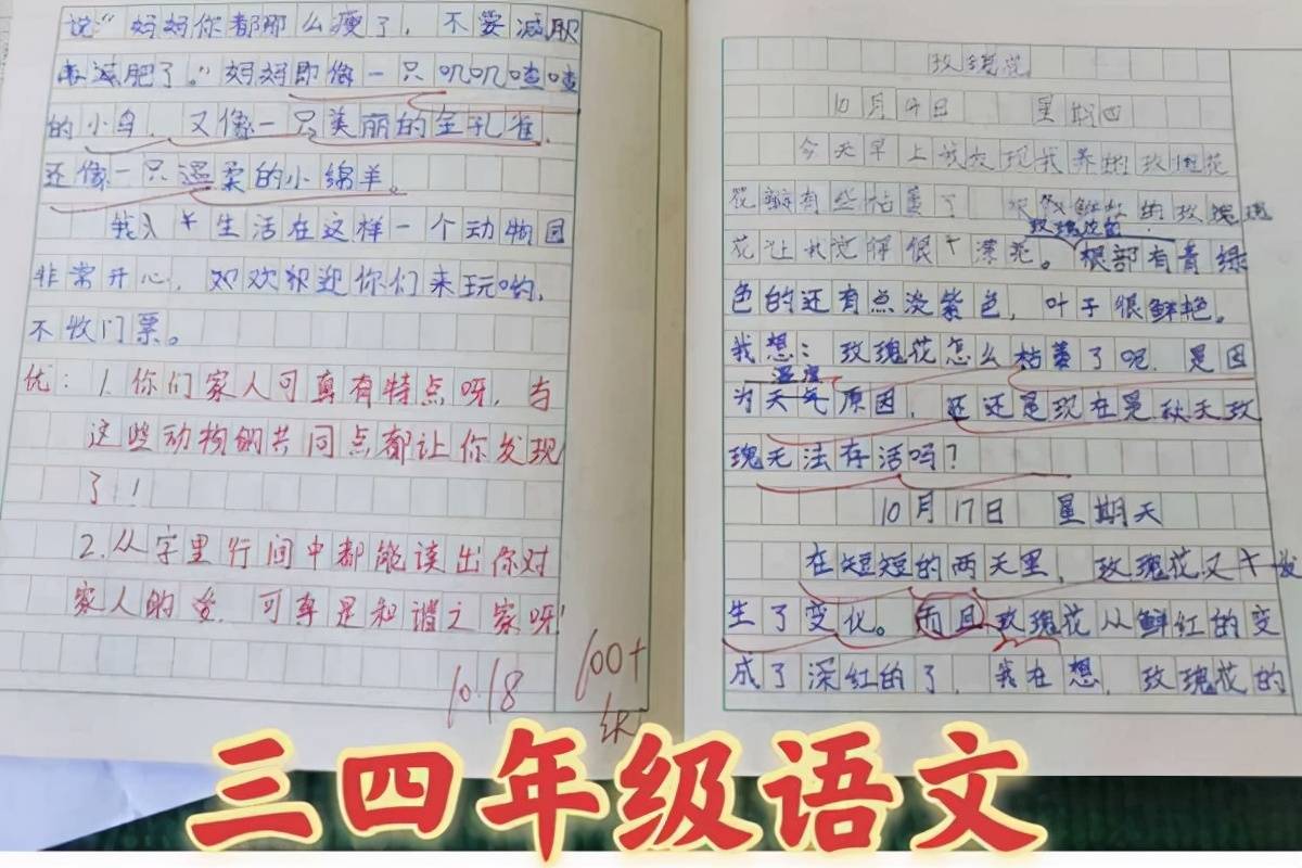 惠济区|“双减”直行 “生态”取胜-郑州市二七区苗圃小学“提质增效”发展纪实