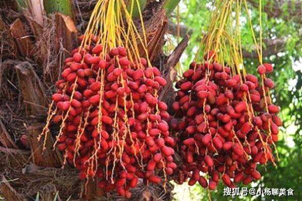 功效|女性晚上当零食吃几颗，排出毒素，失眠好了，气色越来越红润