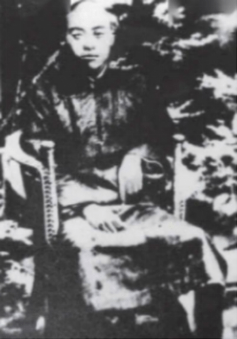 东北抗日第一人杨靖宇:牺牲时胃里竟是棉絮,日军为他举行安葬礼_日本_郭莲_中国