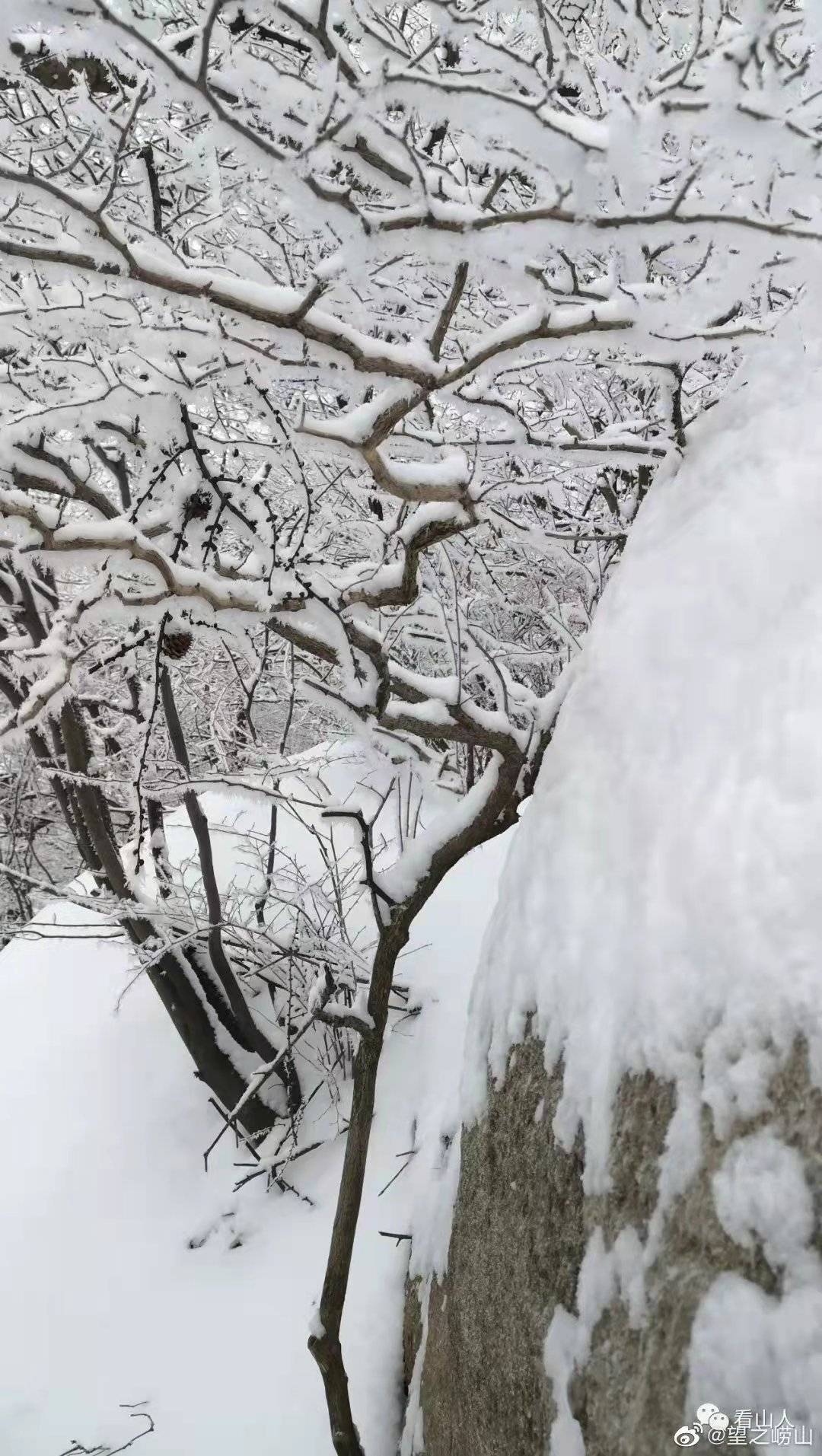 黄岛|撒盐空中差可拟｜2021青岛初雪，快来欣赏各区雪景～