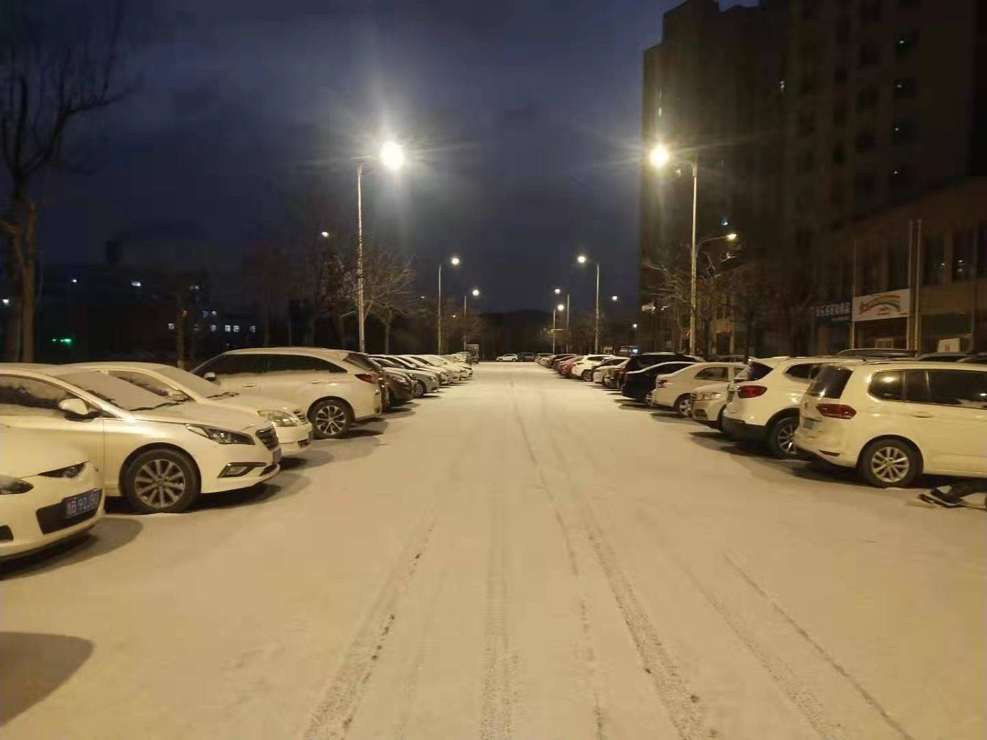 黄岛|撒盐空中差可拟｜2021青岛初雪，快来欣赏各区雪景～