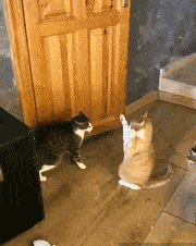 厕所|搞笑GIF趣图：上厕所的同时还能顺带漱个口