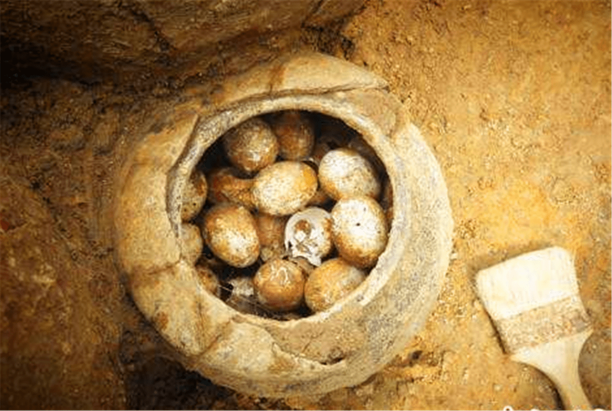  原创 江苏发明2000年前古墓，出土一罐土鸡蛋，专家：看起来挺新鲜的