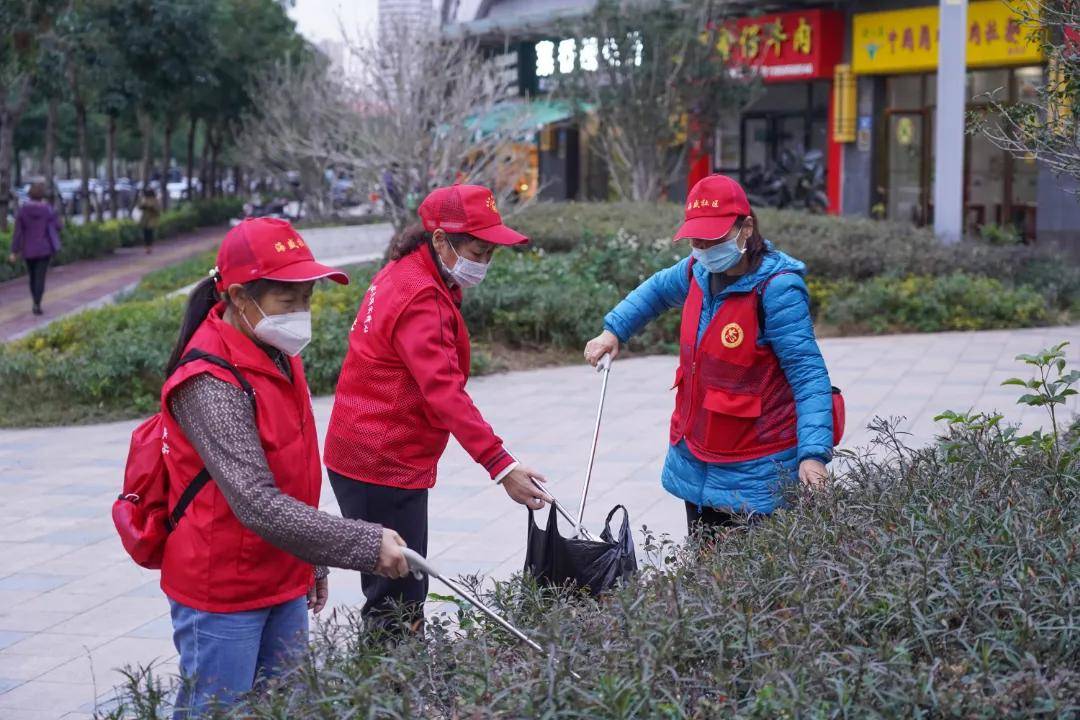 創建進行時:是什麼包,讓海滄大媽如此