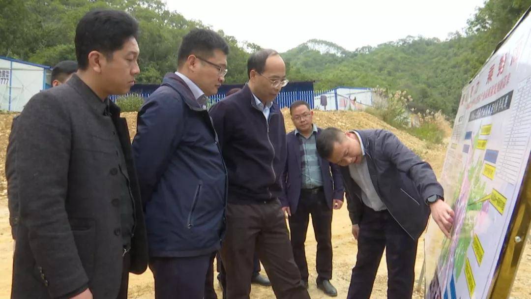 【聚焦苍梧·六堡茶】张惠强到苍梧县调研乡村振兴及六堡茶种植工作