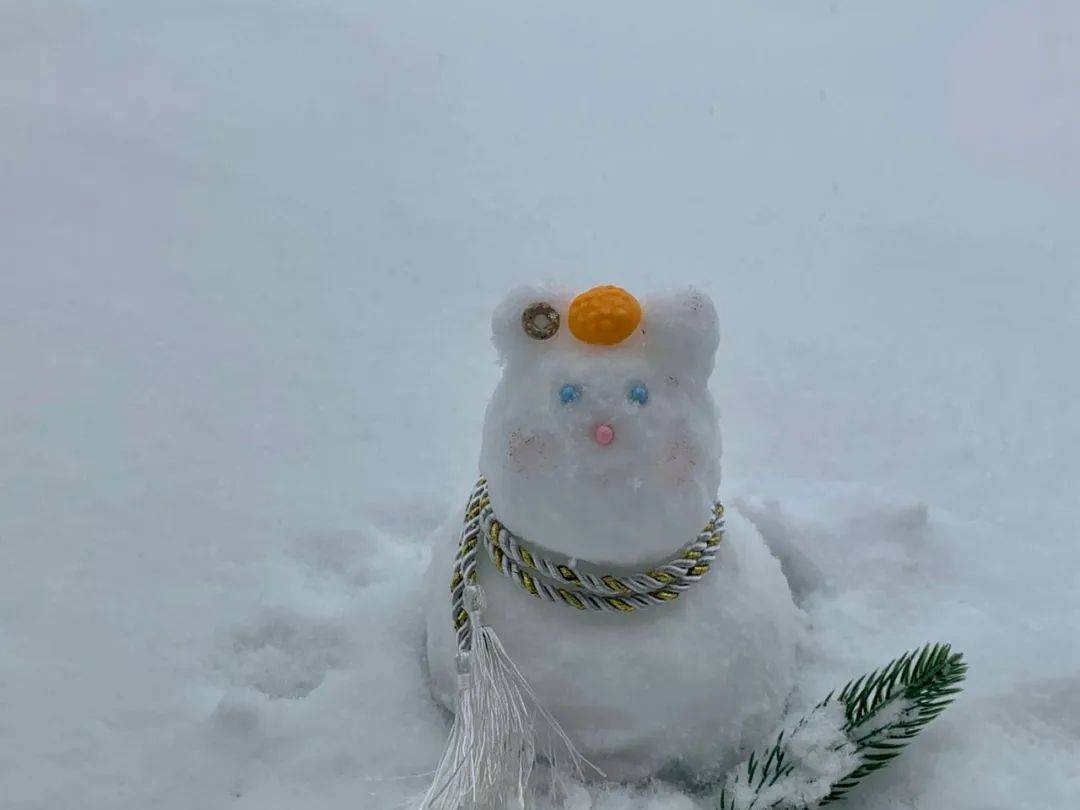 雪人雪人大比拼，让我发现这些人确实不走寻常路