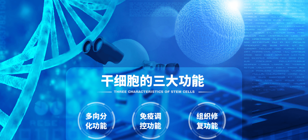 干细胞激活需要做几次干细胞激活素有什么用干细胞多少天更新一次懵